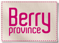 Berry province et le château d'Ainay le Vieil