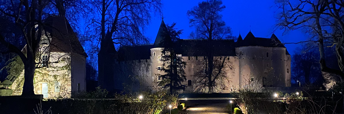 Several options are proposed: reserve an extra space for a tent or stage in the courtyard of the castle or in the park, install lighting, a guided tour of the castle for guests only...