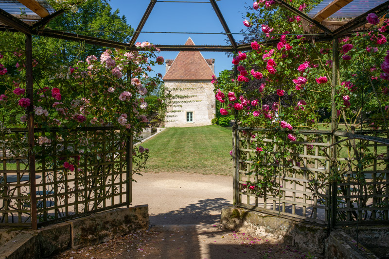 Château d’Ainay-le-Vieil, vue sur le pavillon Renaissance depuis le pavillon de la volière, ciel bleu et rosier en fleurs sur treillage en bois