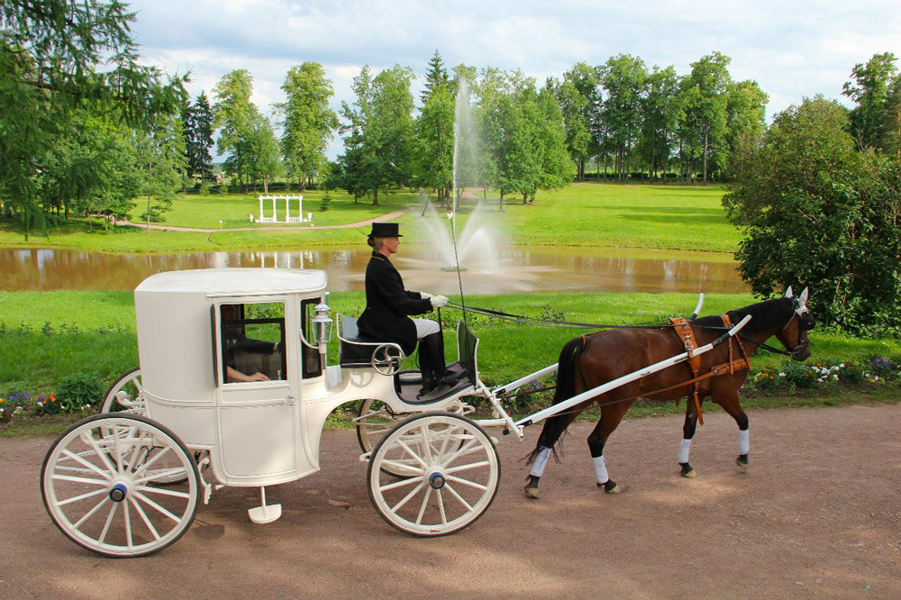 Château d’Ainay-le-Vieil, jumelage Domaine de Marino (Russie), les équipages, un cheval brun blancs tirent une calèche blanche dans les allées du parc, cocher en habit de concours
