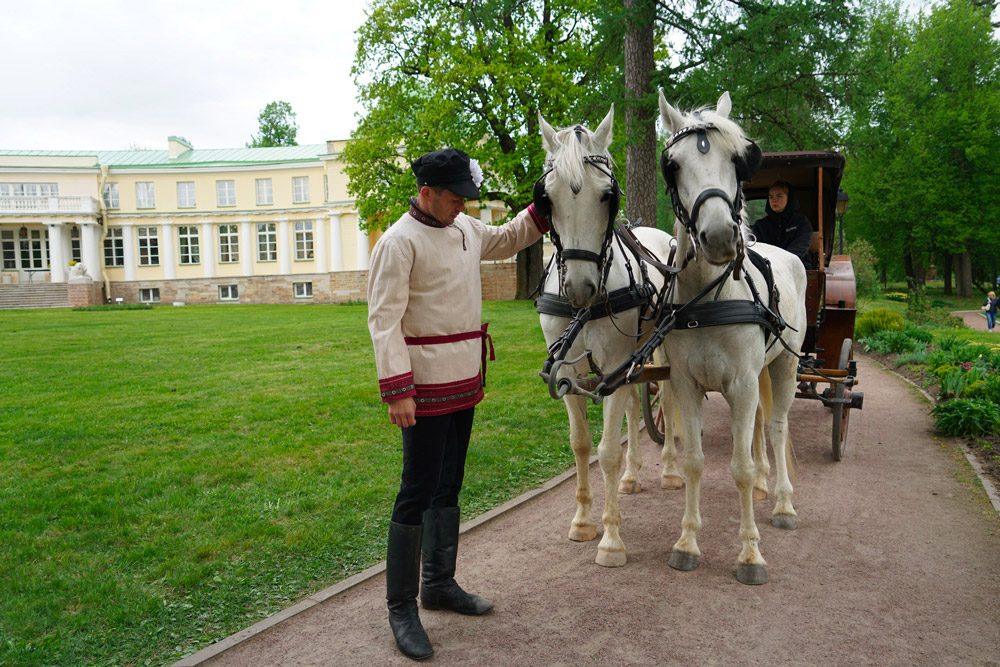 Château d’Ainay-le-Vieil, jumelage Domaine de Marino (Russie), les équipages, cocher et chevaux blancs devant le palais