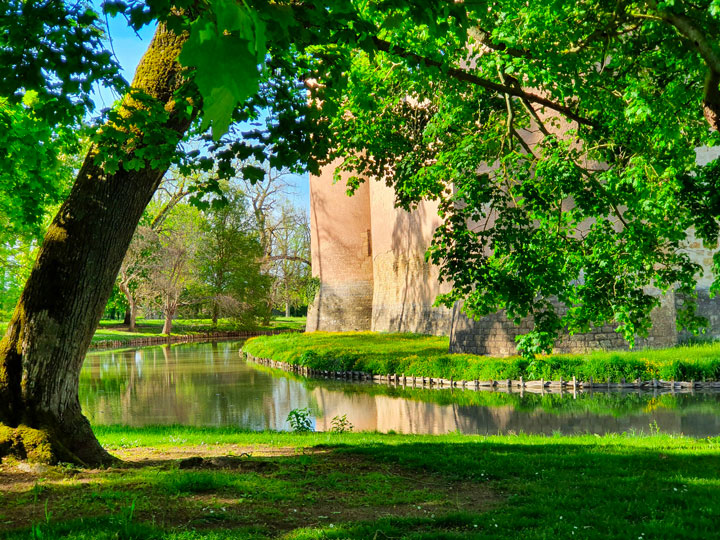 Château d’Ainay-le-Vieil, douves en eau, arbre centenaire par une belle journée ensoleillée