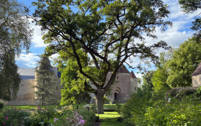 Quelques nouvelles du front depuis l’ouverture de la saison au château d’Ainay-le-Vieil