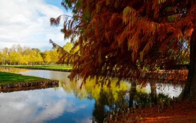 Les temps forts de l’été 2025 au château d’Ainay-le-Vieil