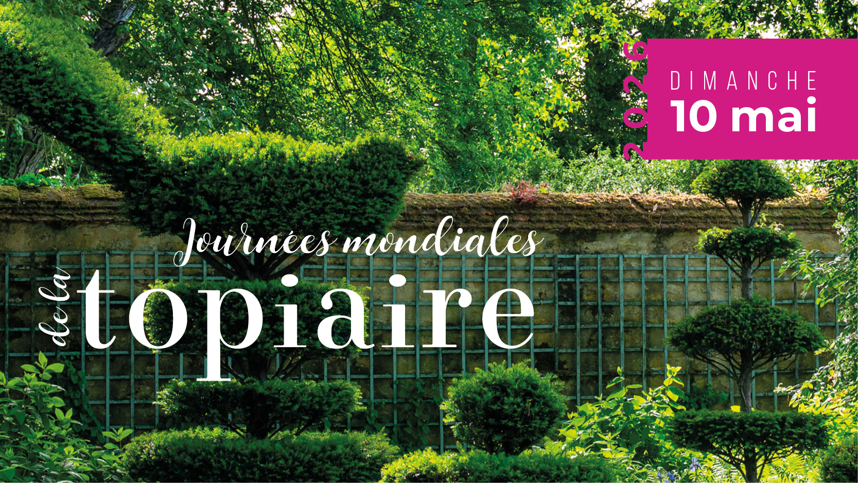 Affiche Journées mondiales de la topiaire au Château d'Ainay-le-Vieil, saison 2026, ifs taillés en topiaire et haie de charmilles avec reflets dans l'eau