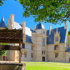 Cour du château d'Ainay-le-Vieil, vue sur le Logis Renaissance le puits et le ginkgo biloba